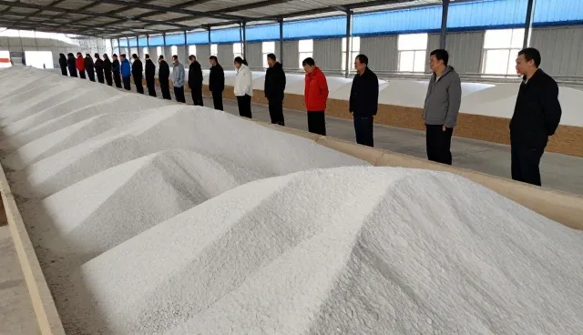 提升种植效率:基地合作的适用条件分析
